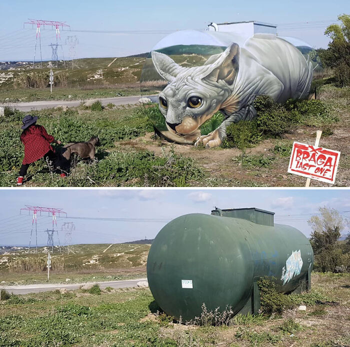 3D street art masterpiece of a giant cat painted on a cylindrical tank, creating an illusion in the landscape.