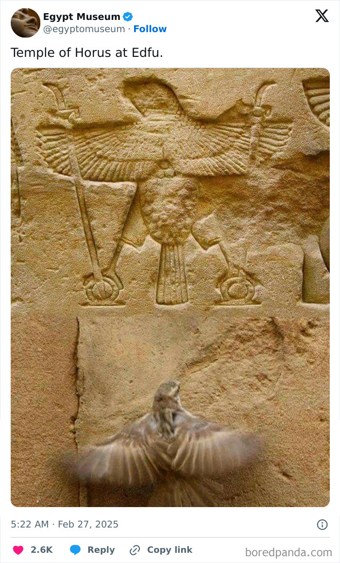 Ancient Egyptian artifact depicting Horus in Temple of Edfu with a bird in motion flying below.
