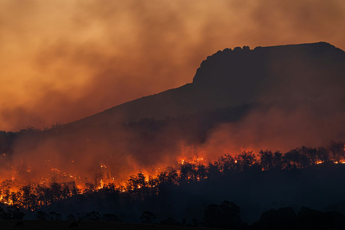 Forest fire burning under a smoky sky, illustrating overlooked problems affecting mental health.