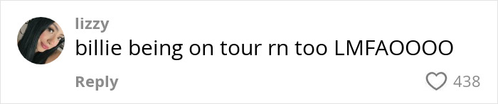 Comment about a Billie Eilish look-alike causing chaos at a mall, questioning authenticity due to her being on tour.