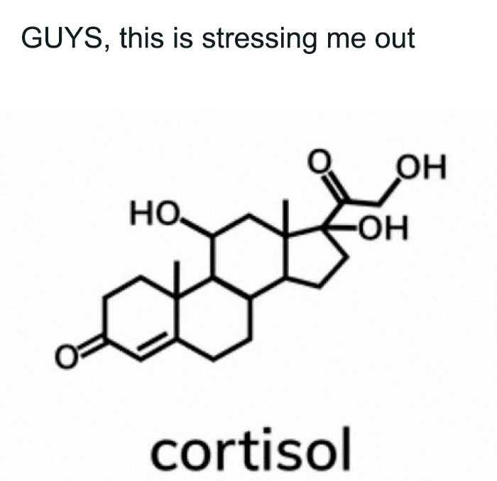 Chemical structure of cortisol with text saying, "GUYS, this is stressing me out," creating a literal meme.