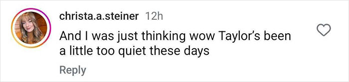 Comment mentioning Taylor Swift being quiet, reflecting on her recent activities.