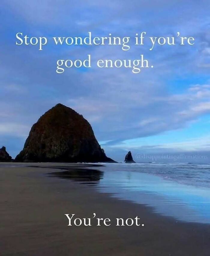 Funny meme with text "Stop wondering if you're good enough. You're not" over a scenic beach background.
