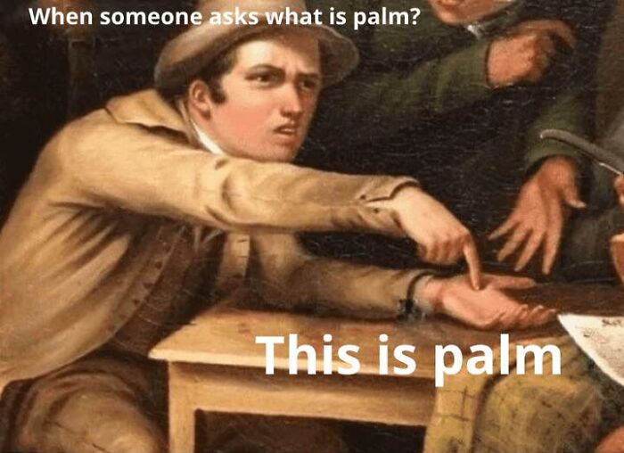 Literal meme of a person pointing to their palm, captioned "This is palm," exemplifying hilariously straightforward humor.