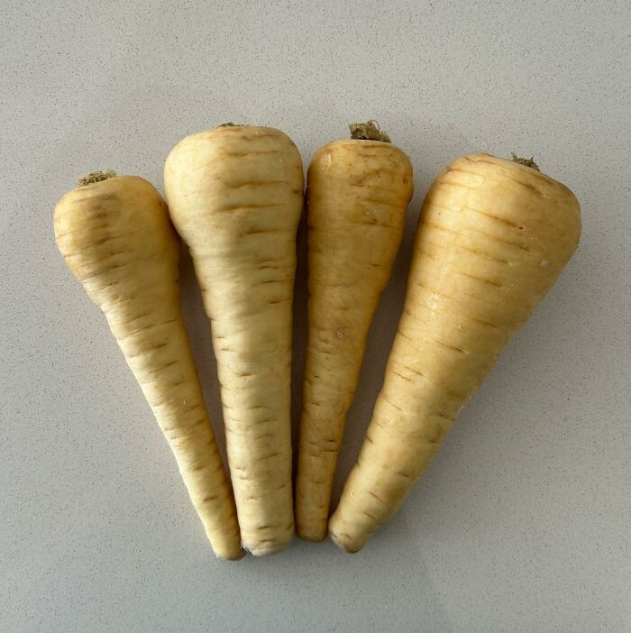Four parsnips humorously arranged on a countertop, showcasing a quirky British problem.