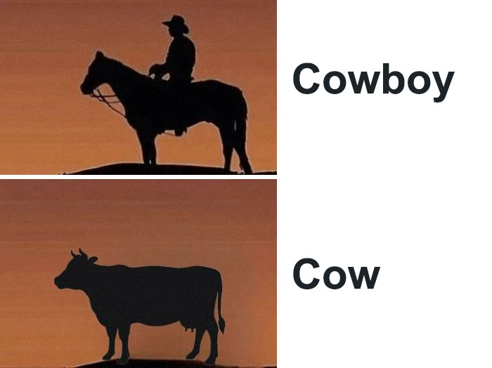 Silhouette of a cowboy on a horse above a cow against an orange sky.