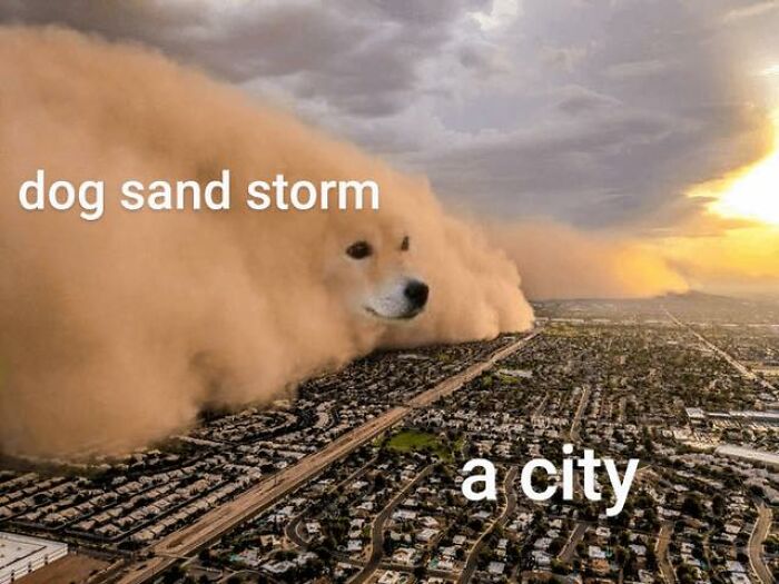 Dog's face blended with a sandstorm over a city, creating a literal meme.