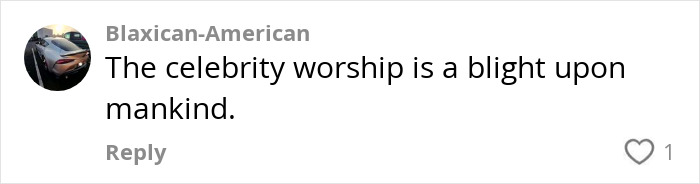 Comment on celebrity look-alike impact, mentioning "celebrity worship" as a societal issue.