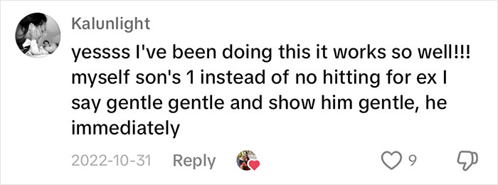 Comment with a parenting tip on saying "gentle" instead of "no" for correcting behavior, shared by a mom. Comment with a parenting tip on saying "gentle" instead of "no" for correcting behavior, shared by a mom.