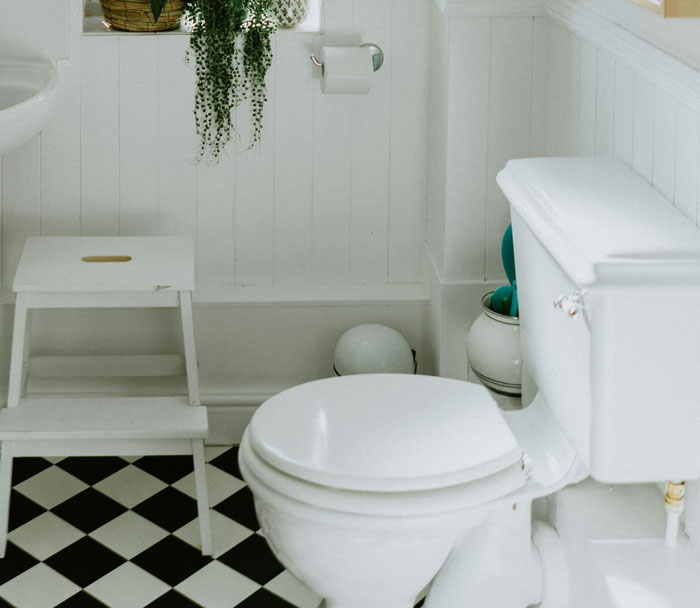 Bathroom with black and white tiles, toilet, small step stool, and leafy plant, ideal for creative hiding places at home.