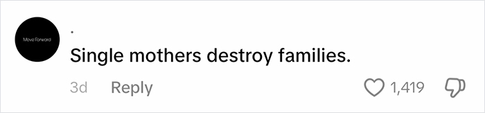 Comment on parenting stereotypes: "Single mothers destroy families," with likes and dislikes shown. Comment on parenting stereotypes: "Single mothers destroy families," with likes and dislikes shown.