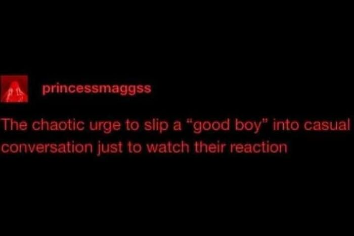 Hilarious meme text about the urge to say “good boy” in conversations for fun.