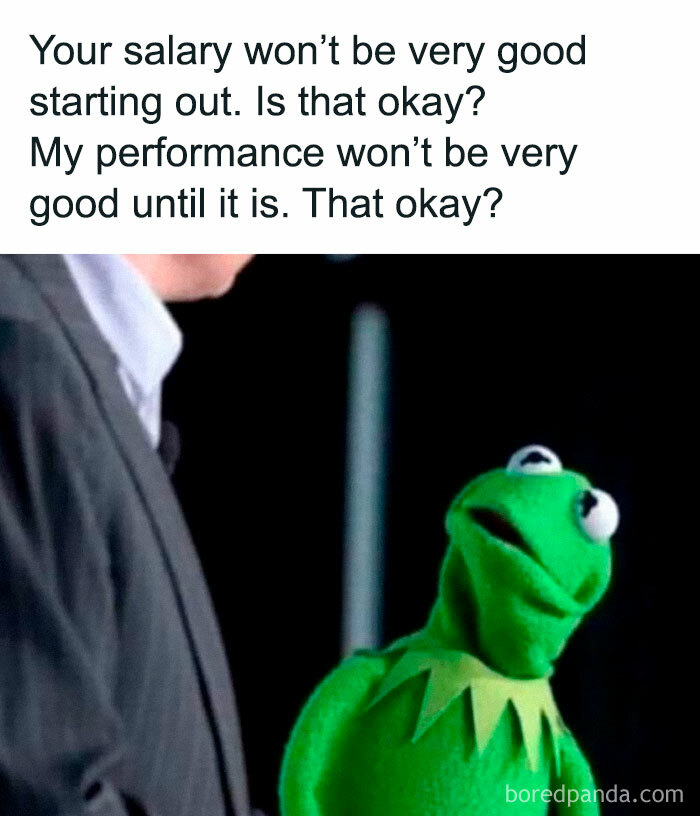 Kermit the Frog reacting humorously to job salary expectations in a work dungeon meme.