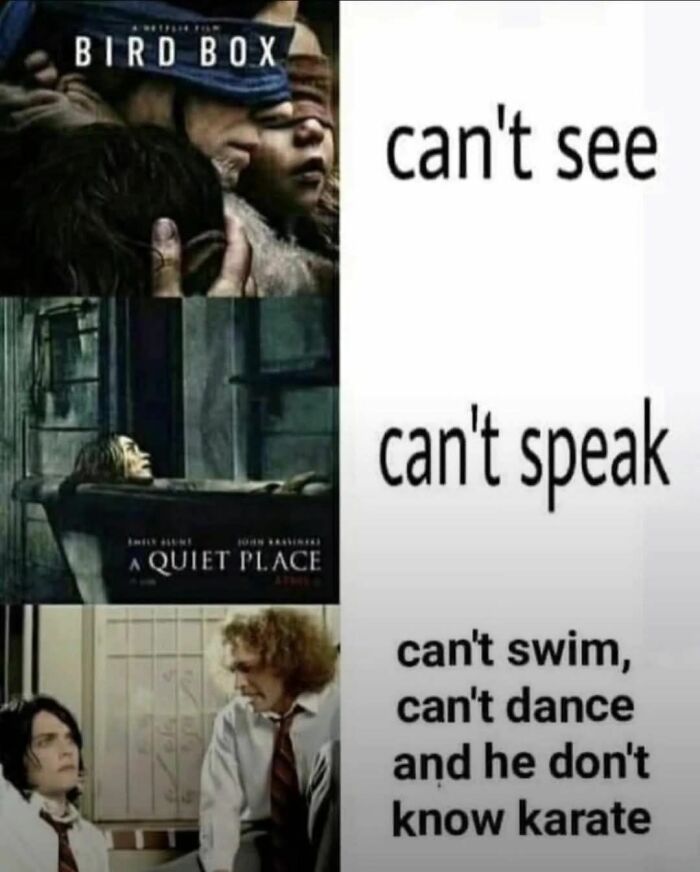 Hilarious random meme comparing "Bird Box," "A Quiet Place," and a humorous line about abilities.