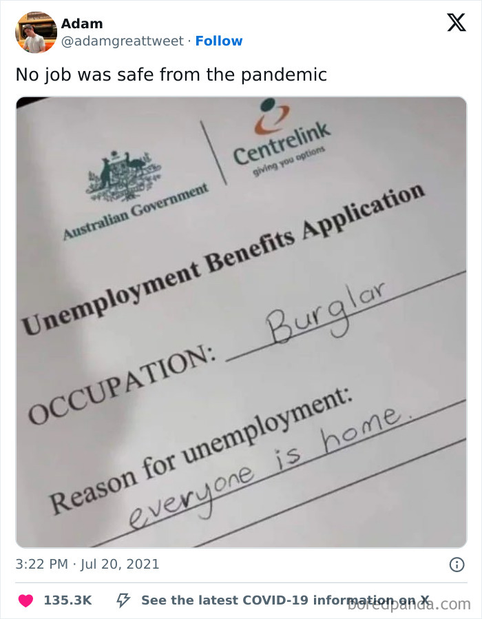 Unemployment application humor with occupation listed as burglar and reason as "everyone is home."