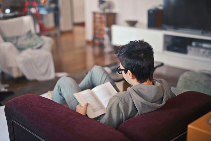 A boy reading a book at home, sitting on a sofa, with a blurred living room background.