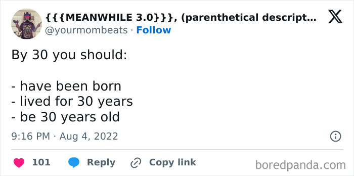 Meme about adulthood struggles, humorously listing goals by age 30: be born, live 30 years, be 30 years old.