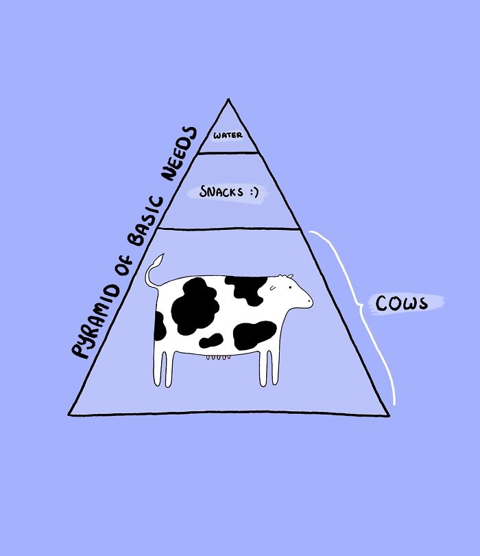 Illustrated pyramid of needs prioritizing cows, snacks, and water on a blue background.