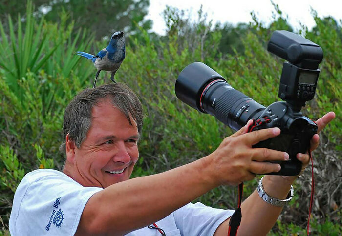 Wildlife photographer smiles as a bird perches on his head, showcasing animals with no spatial awareness.