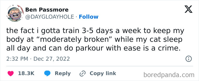 A meme about working out while a cat effortlessly sleeps and performs parkour, humorously highlighting life's comedic side.