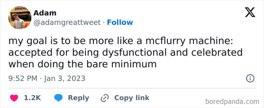 Funny meme about being like a McFlurry machine, highlighted for its dysfunction and minimal effort, gaining popularity online.