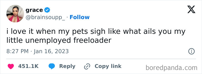 Funny meme about pets acting like freeloaders, posted by a user named grace on social media.