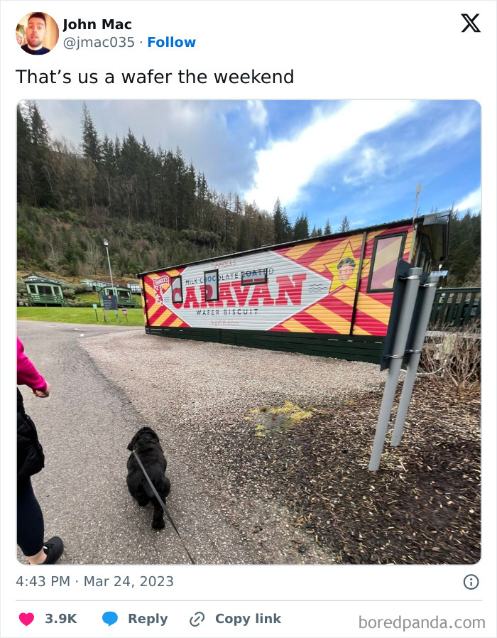 A dog on a leash walks past a large sign designed like a chocolate wafer package, showcasing Scottish humor.