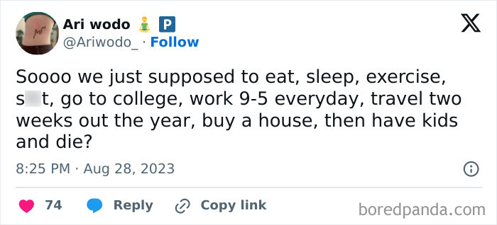 Tweet about adult life struggles, listing daily routines and life milestones, questioning purpose and routine in adulthood.