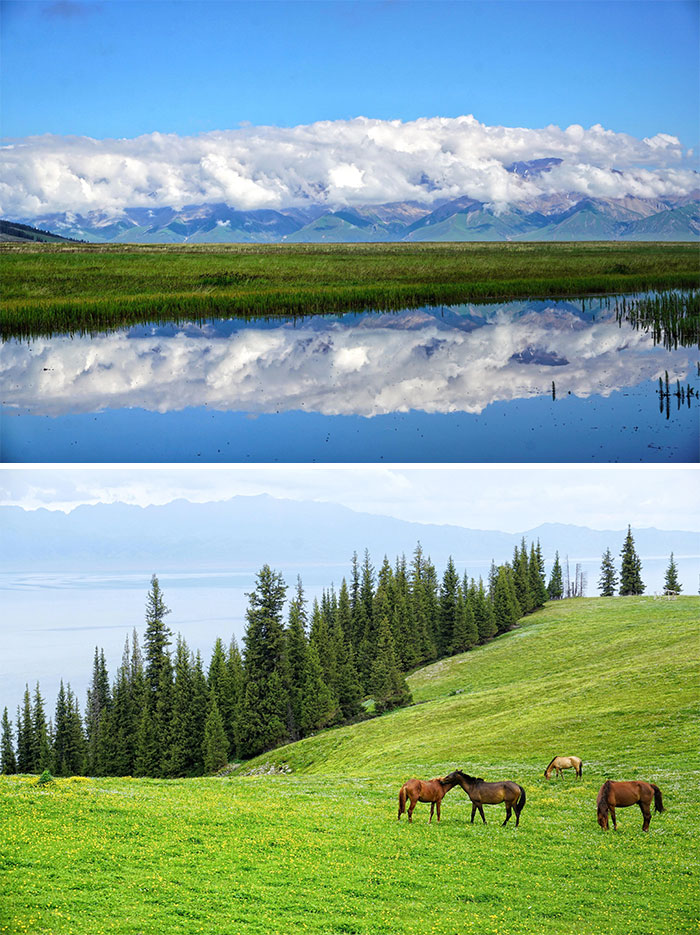 Stunning nature scene with mountains reflecting in a lake and horses grazing on a green hillside.