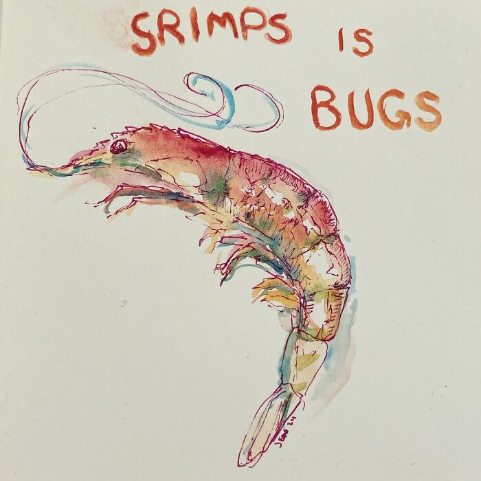 Watercolor painting of a sassy shrimp with text, combining animals and pop culture references for humor.