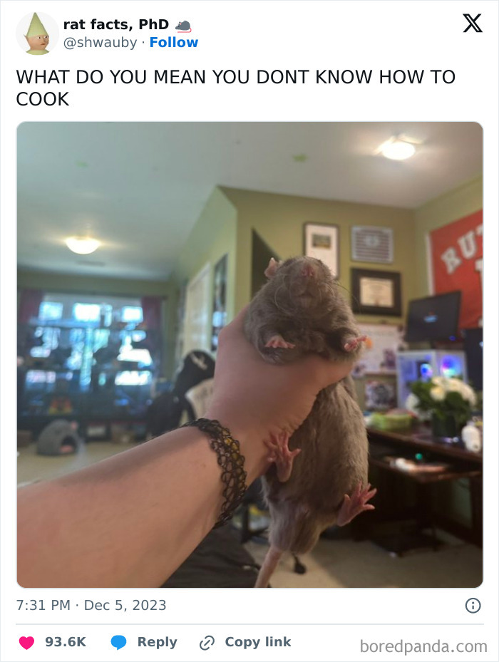 Person holding a rat in a meme about cooking, evoking nostalgia for old cartoons.