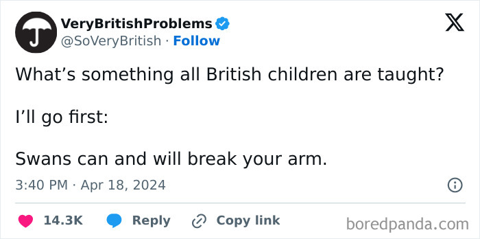 Text post about British childhood teaching that swans can break arms, highlighting a humorous British problem.