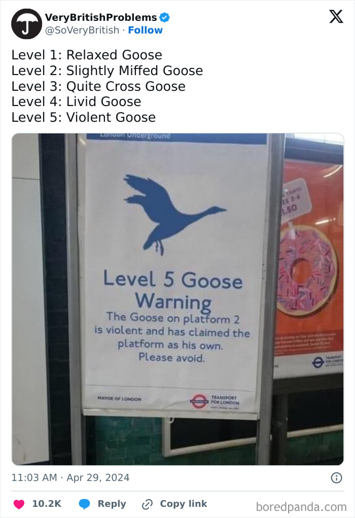 British humor: A sign warns about a "Level 5 Goose" at a London Underground platform, advising to avoid the area.
