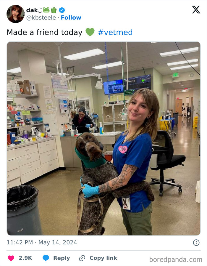 Veterinarian hugging a dog in an office, both smiling after a check-up.