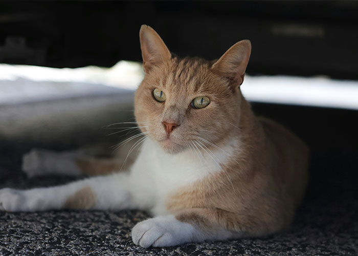 “I Started To Like Pink Again”: 50 Women Recall The Instant They Just Knew He Was ‘The One’