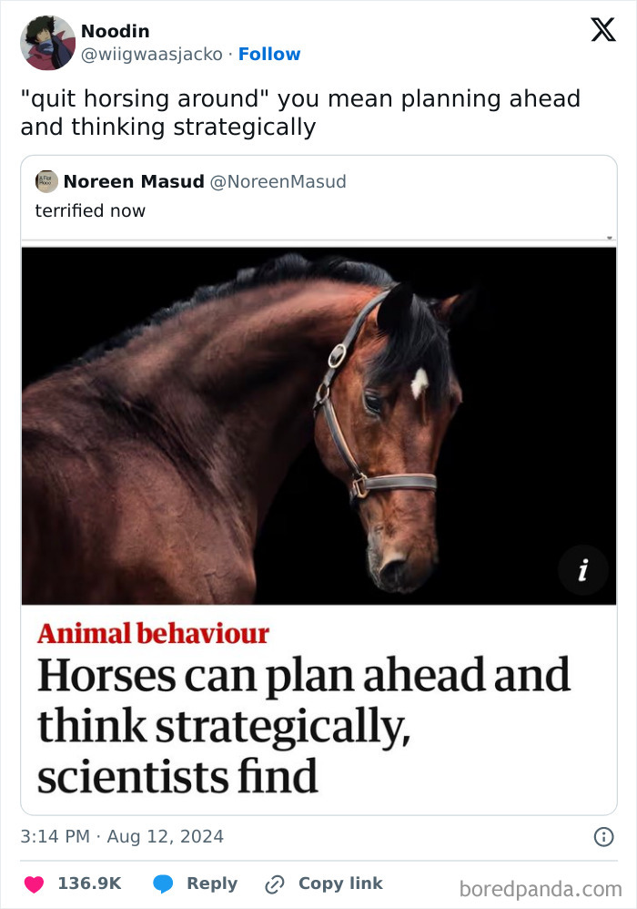 Horse with text overlay about strategic thinking, part of relatable middle class memes.