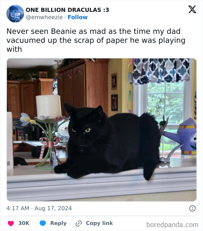 Black cat lounging on a kitchen counter, looking annoyed, capturing feline attitude perfectly.