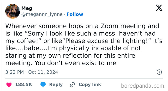 Funny work tweet about Zoom meeting with reflection excuses.