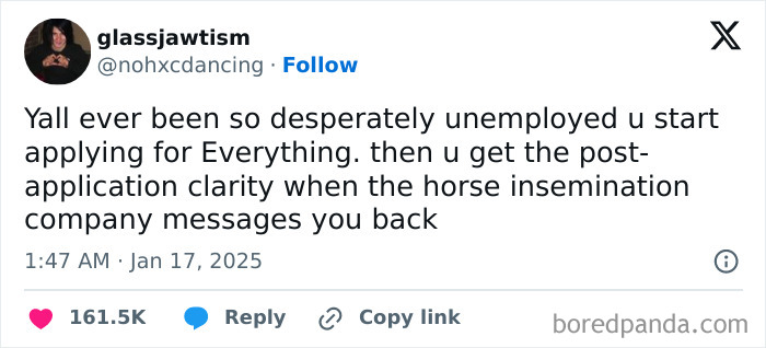 Hilarious work tweet about desperate job applications and unexpected replies from a horse insemination company.