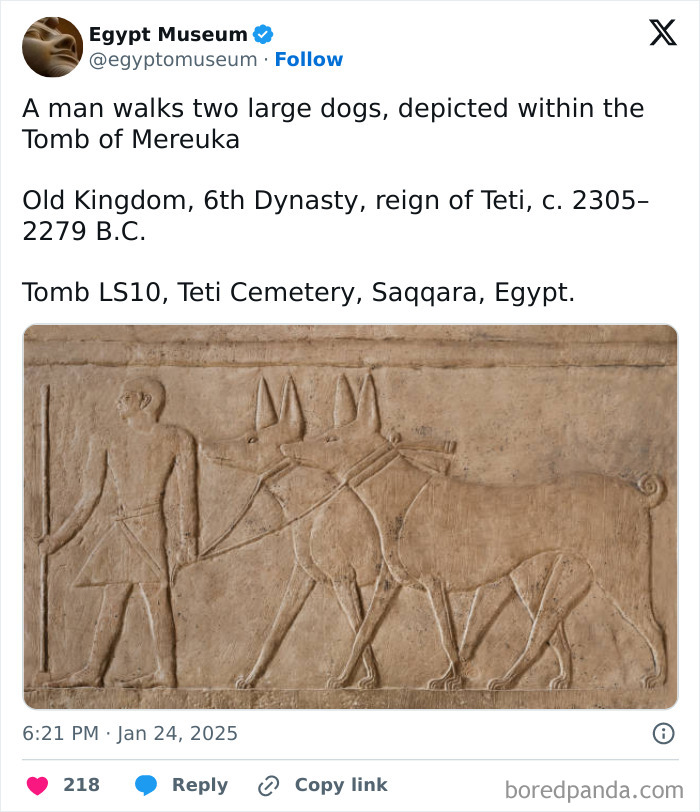 Ancient Egyptian artifact showing a man walking two large dogs, from the Tomb of Mereuka in Saqqara.