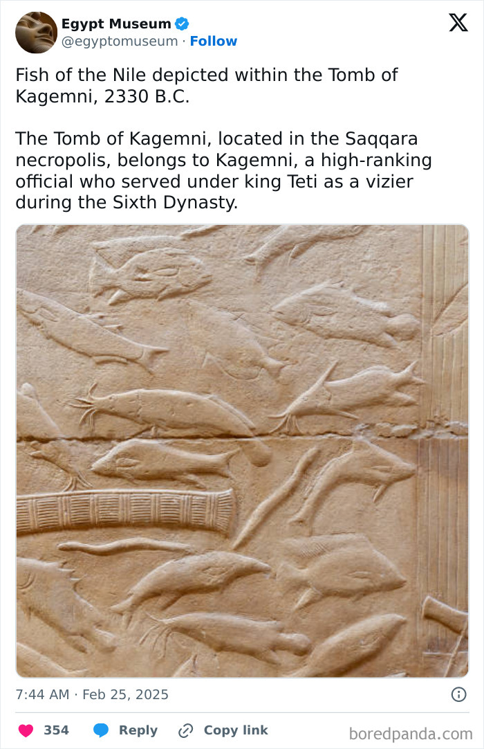 Ancient Egyptian artifact depicting Nile fish in the Tomb of Kagemni, showcasing the civilization's artistic magnificence.