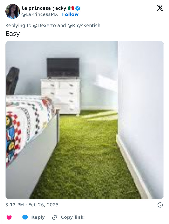 Room with green carpet resembling grass illustrating social media app controversy.