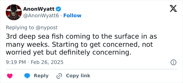 Tweet expressing concern about the third deep-sea fish surfacing in recent weeks; discussion on alien fish.