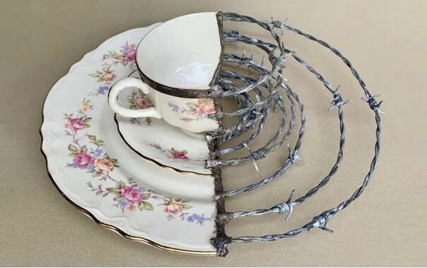 Half porcelain dish set merged with barbed wire, showcasing strange thrifted item.