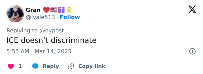 Tweet from user discussing ICE policies related to American Pie star.