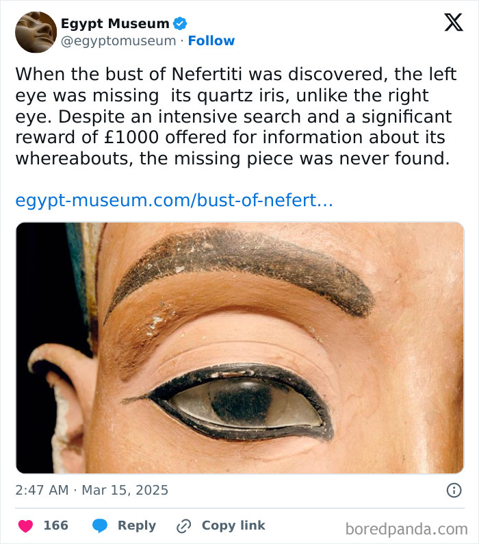 Close-up of Nefertiti bust's eye, showcasing ancient Egyptian artifacts' magnificence.