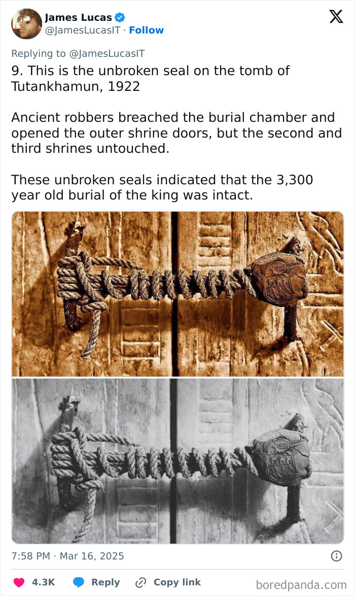 Unbroken seal on Tutankhamun's tomb, highlighting Ancient Egyptian artifacts' magnificence.