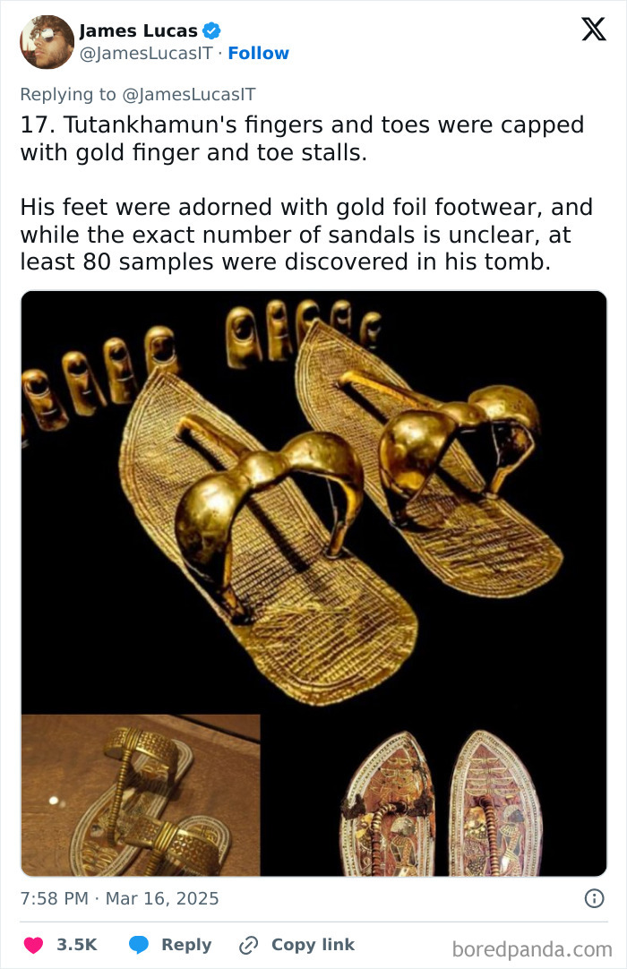 Ancient Egyptian artifacts: gold sandals and finger stalls from Tutankhamun's tomb, showcasing magnificent craftsmanship.