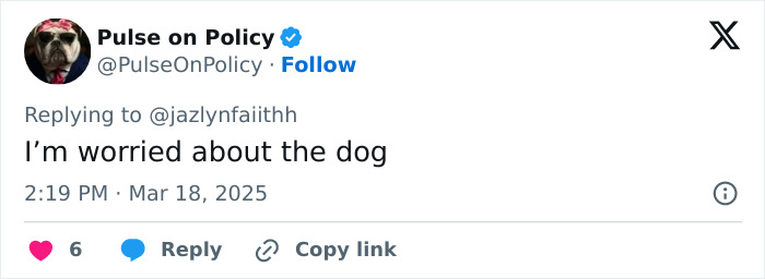 Tweet about concern for a dog, linked to viral rapper and Lyft lawsuit story. Tweet about concern for a dog, linked to viral rapper and Lyft lawsuit story.