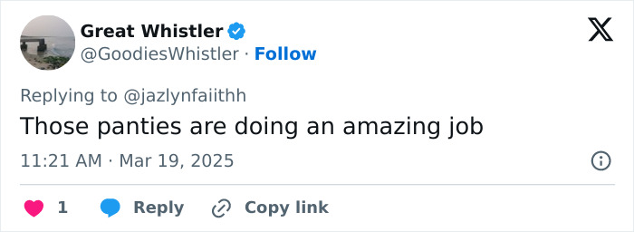 Tweet from Great Whistler praising a photoshoot, dated March 19, 2025. Tweet from Great Whistler praising a photoshoot, dated March 19, 2025.